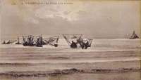 Crevetiers en train de pêcher avec des filets appelés haveneaux ou havenets.
