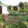 Orbec, jardin ouvrier