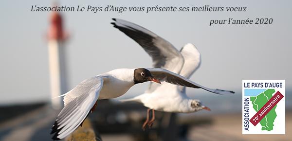 Meilleurs vœux pour cette nouvelle année !