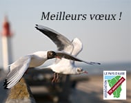 Meilleurs vœux pour cette nouvelle année !